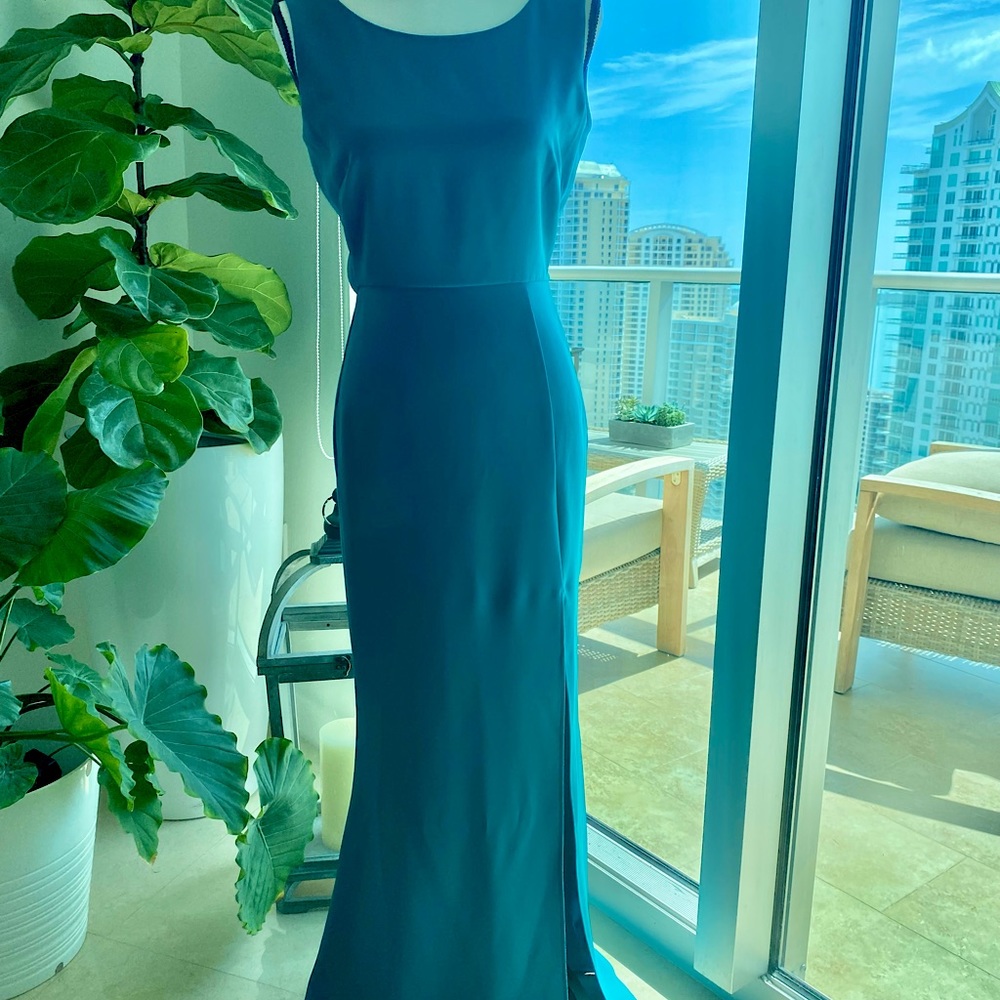 RACHEL ZOE Kassie Cowl Back Gown